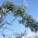 태양수지 이미지