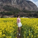 앉은바위 하우스 | 여행코스 | 서쪽 감성여행 2일차 (산방산 유채꽃밭, 고기국수맛집, 송악산 둘레길, 적당한 게스트하우스)