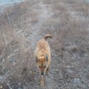 용소골민박 이미지