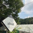 레몬비 모현점 | 용인 계곡 브런치 카페 알루엣에서 새우잡은 후기