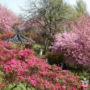 완산-100 이미지