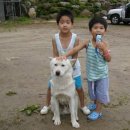 기역니은펜션 이미지