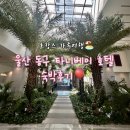 타니베이 호텔 | 울산 호캉스 아기랑 가족여행 추천 동구 타니베이 호텔 숙박후기