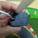 열대어(관상어) 기르기 입문 | 튼튼하면서 편리하고 컴팩트한 모비딕 모모탱크 2, 일체형 올인원 어항 체험단 이벤트 리뷰..