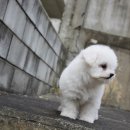 뭉실뭉실 이미지