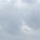 카페리오 네이버블로그