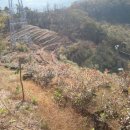 고을농장 이미지