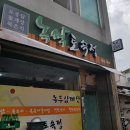 녹색토속정