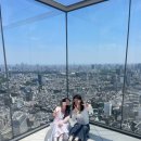 더 스카이짐(The Sky Gym) | 시부야스카이 오픈런 전망대 방문 후기 티켓예약