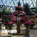 (주)에스비에스콘텐츠허브 | 마곡 서울식물원 낭만수국전 장미원 후기, 대중교통으로 가는 방법
