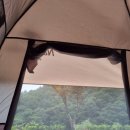 서운산 자연휴양림 자동차야영장 이미지