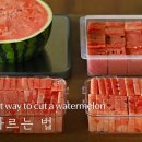 🍉 수박, 이제 쉽게 자르세요. The easiest way to cut a watermelon [우리의식탁] 이미지