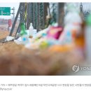 천인약품 이미지