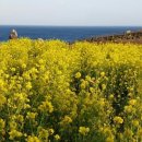 우리들헤어샵 이미지