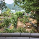 정자형가옥 이미지