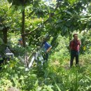 희자농장 이미지