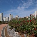 김포 한강신도시 호수공원 이미지