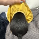 소망애견 | &lt;경남 양산/장방뜨락/카페솔밀&gt; 애견동반, 프라이빗 개별룸 캠핑분위기 어쩌구뭐시기 후기