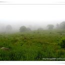 대강목장 이미지