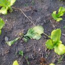 비전농장 이미지