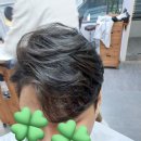 살롱드 760 네이버블로그