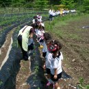 한양농장 이미지