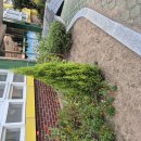 동포초등 이미지