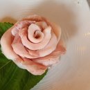 청담농장 이미지