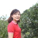강신농장 네이버블로그