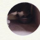 멍글하우스 이미지