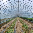 생곡리농장 이미지