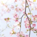 배곧한방병원 이미지