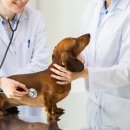 힐메디칼 이미지