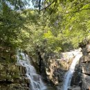 2025년 7월 6일 137차 동해 무릉 계곡~용추 폭포 (강원 동해시) 정기 산행 이미지