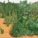 비밀정원 이미지