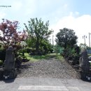 이스트 스크린 골프 연습장 이미지