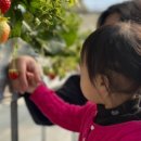 철만농장 이미지