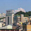 홍대 | ✨ 홍대 쥬베룩 후기｜통증, 엠보 걱정했는데 솔직히 이 정도였어요