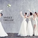 엠신디코리아 이미지