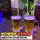 인쌩맥주부산온천천점 | 온천천술집 인쌩맥주 카페거리 야외술집 내돈내산 반려동물동반