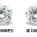 베스트랩 이미지