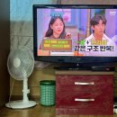 욕지섬펜션 이미지