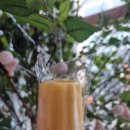 댕냥키친 이미지