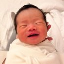 라움어린이집 | 산후조리원후기(안산라움산후조리원)