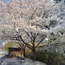 대구선반야월공원(괴전동) 이미지