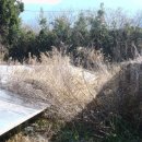 불꽃 태양광발전소 이미지