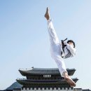 금강태권도 파워점핑 이미지