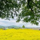농업기술센터(1층) | 청주 농업기술센터 가볼만한 곳 유채꽃밭 식물원 미니정원 산책 후기