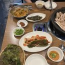 다올막창 이미지