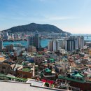 초장동-1 이미지